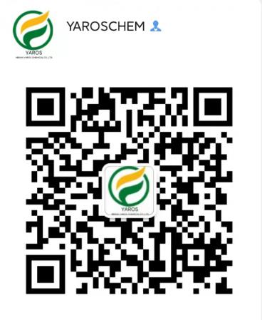 Scan Our Wechat